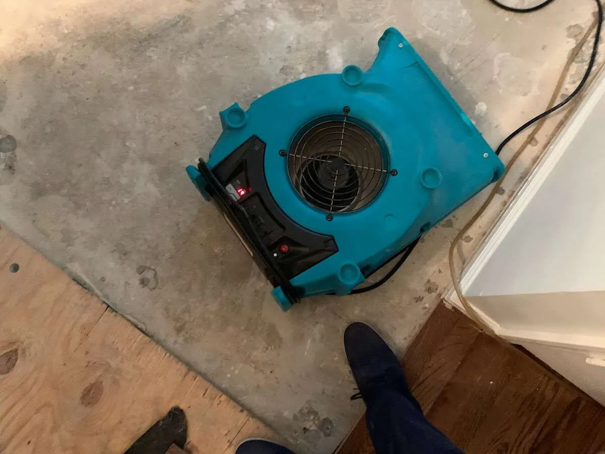 Air mover drying subfloor during Commercial Water Damage Restoration in Lacy-Lakeview